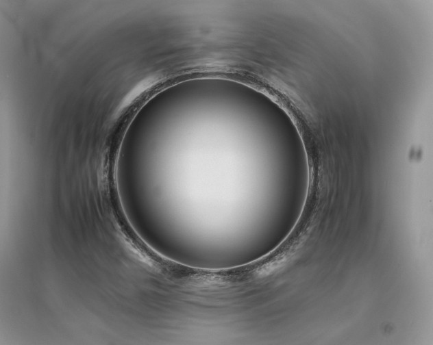 X0000094971450200711291452