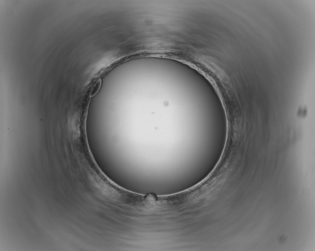 X0000094971451200711291452