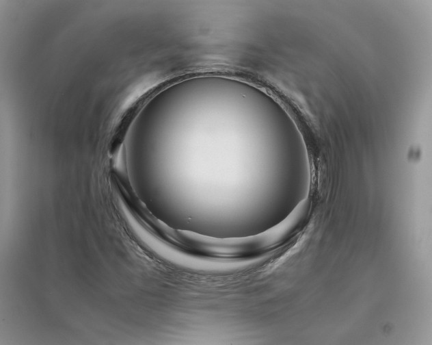X0000094971453200711291452