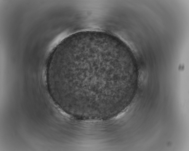X0000094971455200711291452