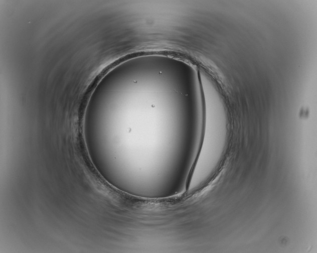 X0000094971457200711291452