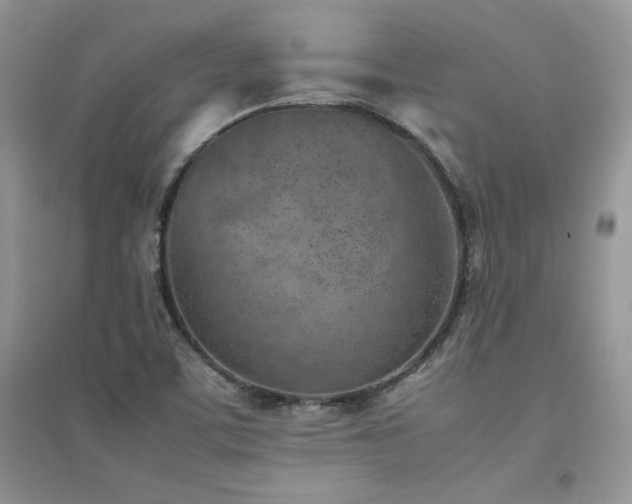 X0000094971459200711291452