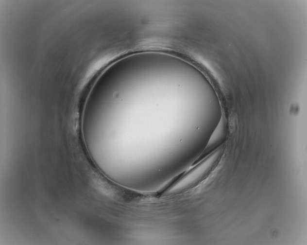 X0000094971461200711291452