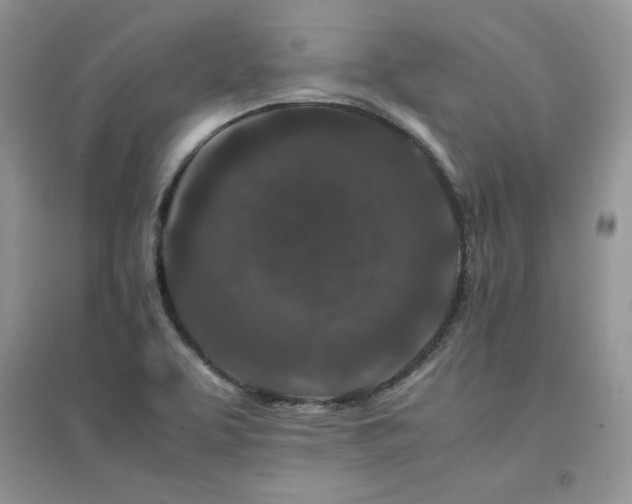 X0000094971463200711291452