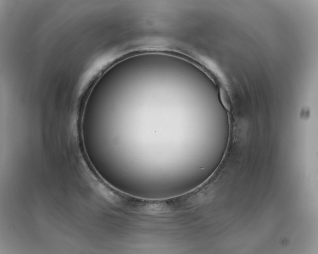 X0000094971464200711291452