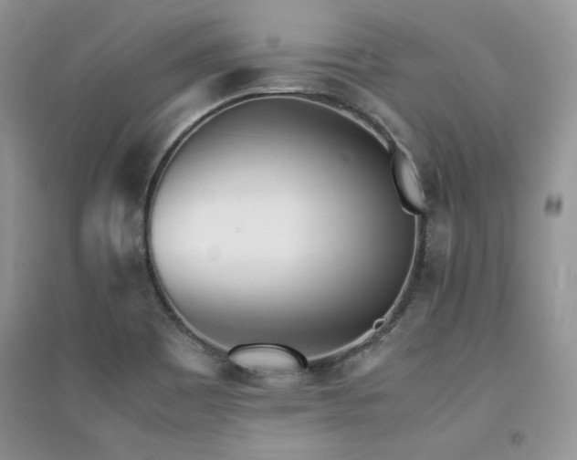 X0000094971465200711291452
