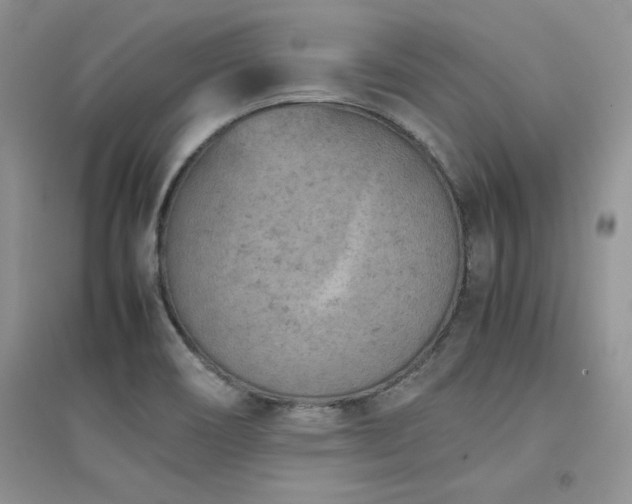 X0000094971466200711291452