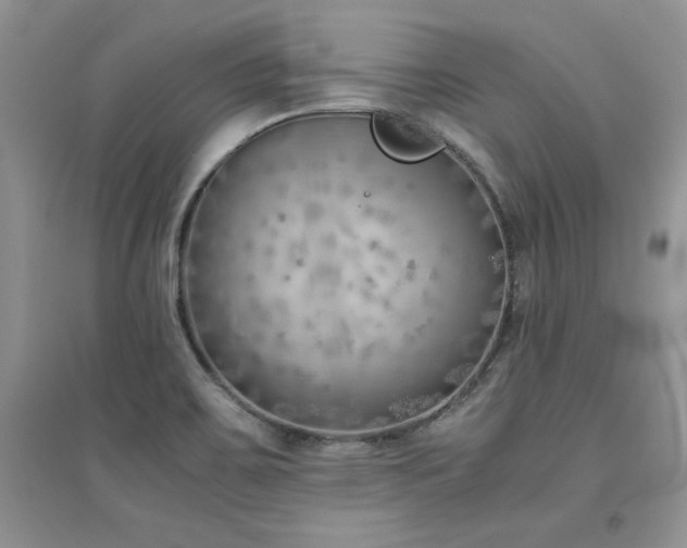 X0000094971467200711291452