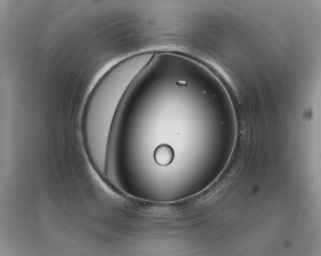 X0000094971468200711291452