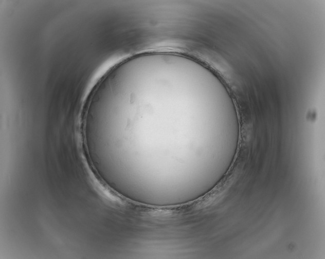 X0000094971470200711291452