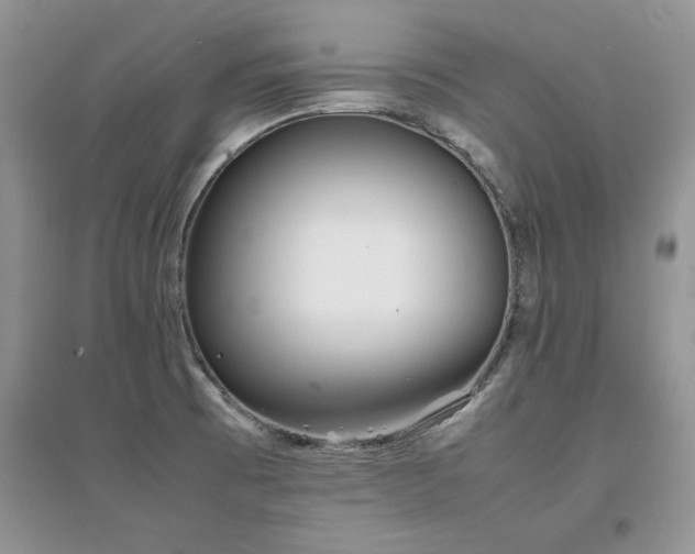 X0000094971473200711291452