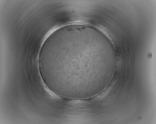X0000094971474200711291452