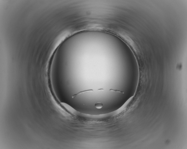 X0000094971475200711291452