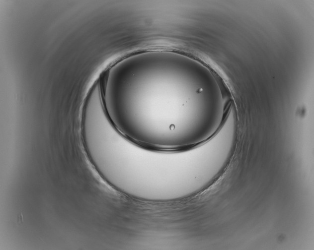 X0000094971477200711291452