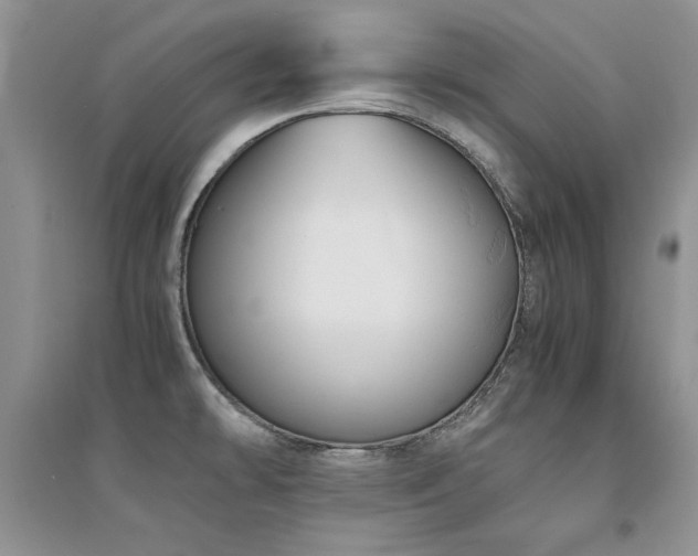 X0000094971478200711291452