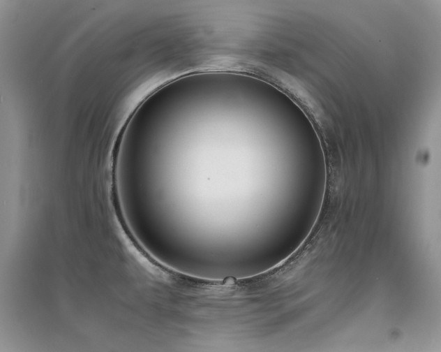 X0000094971479200711291452
