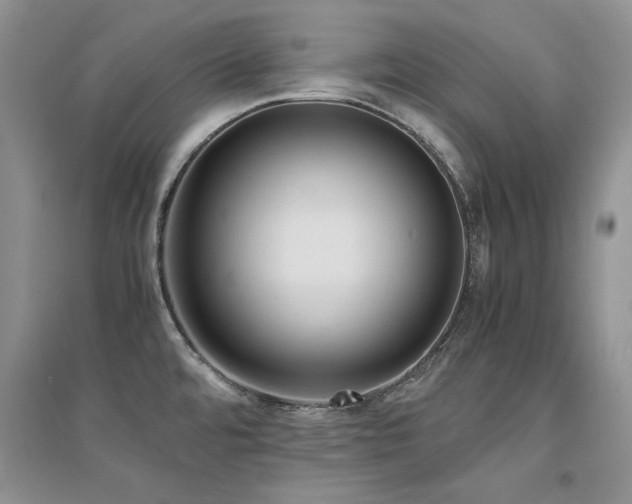 X0000094971480200711291452