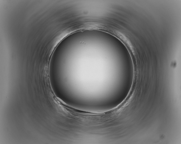 X0000094971481200711291452