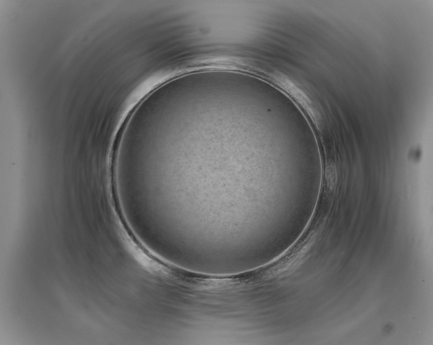 X0000094971482200711291452