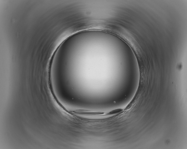 X0000094971483200711291452