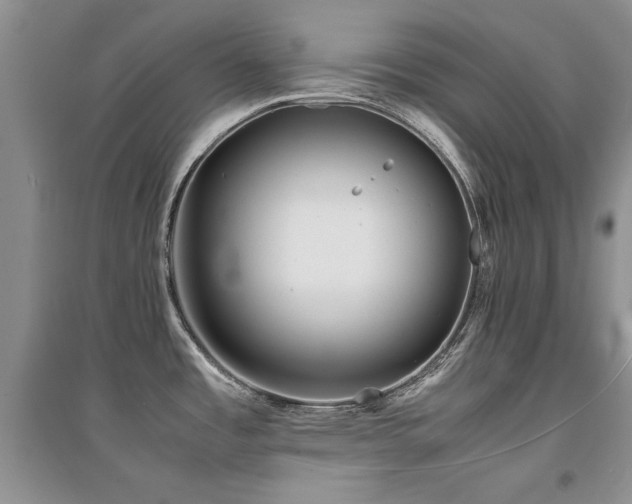 X0000094971485200711291452