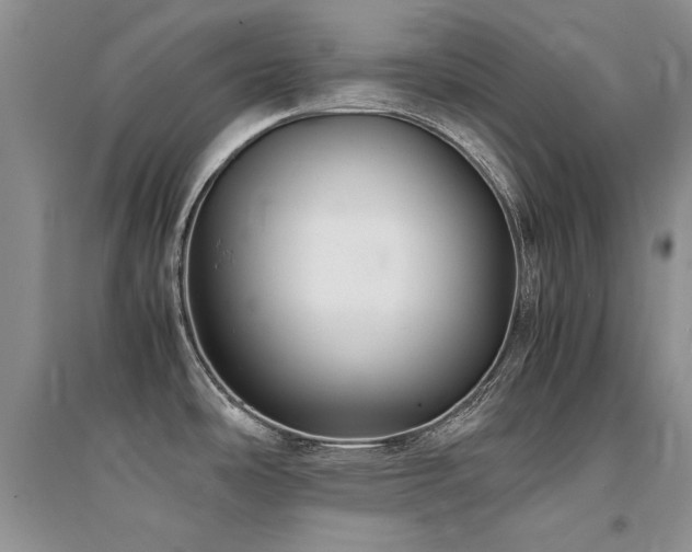 X0000094971486200711291452