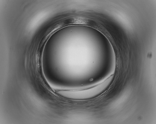 X0000094971487200711291452
