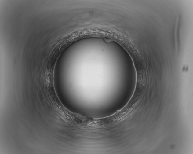 X0000094971490200711291451