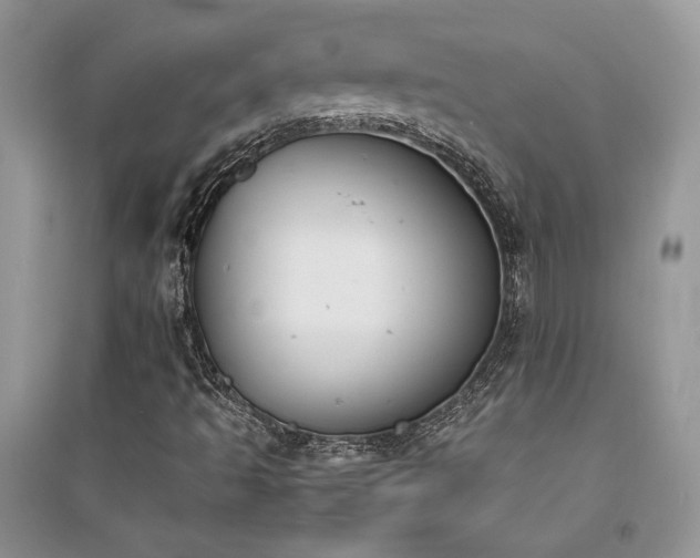 X0000094971493200711291451