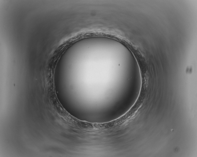 X0000094971494200711291451