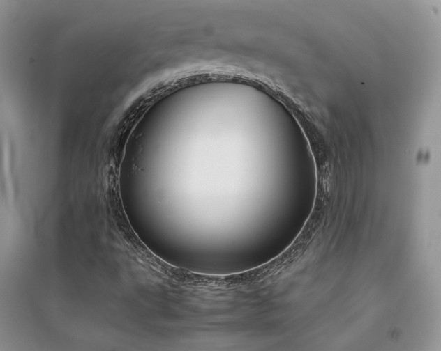 X0000094971495200711291451