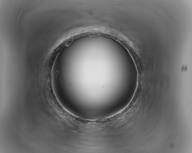 X0000094971496200711291451