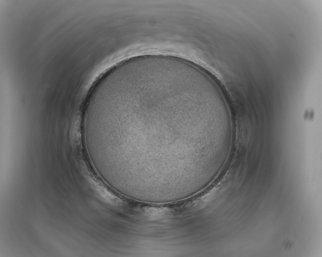 X0000094971498200711291451