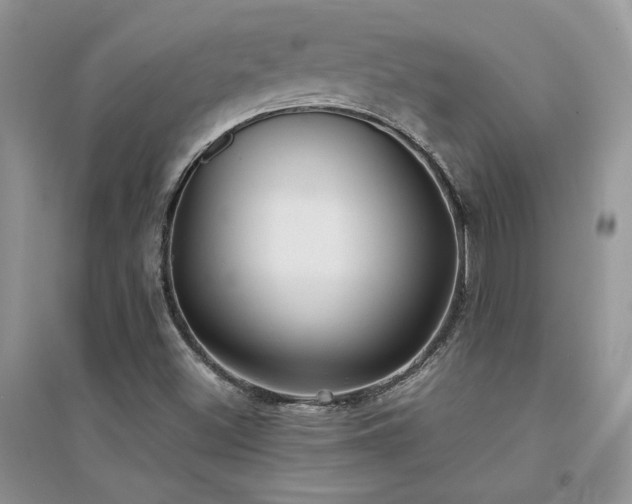 X0000094971500200711291451