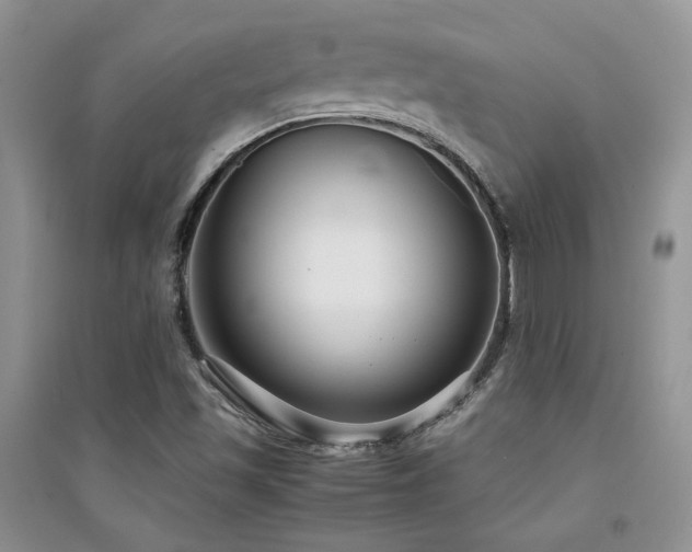 X0000094971501200711291451