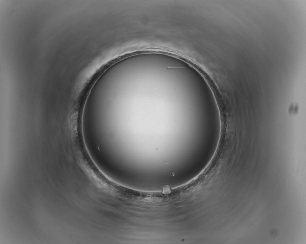 X0000094971503200711291451