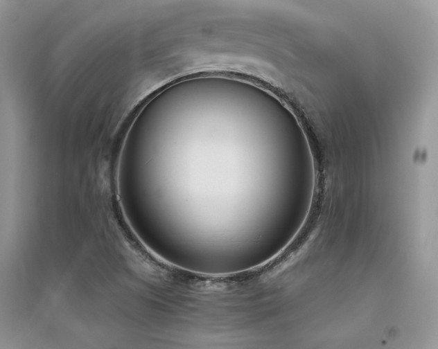 X0000094971505200711291451