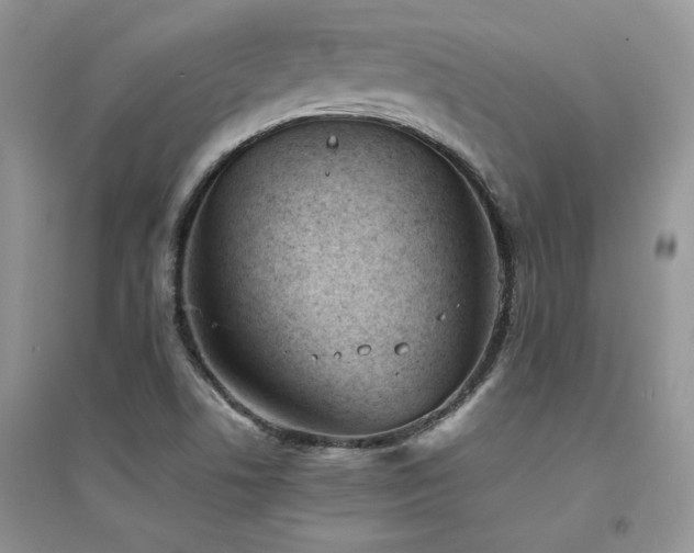 X0000094971506200711291451