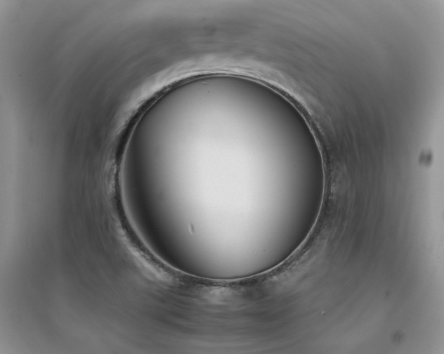 X0000094971507200711291451