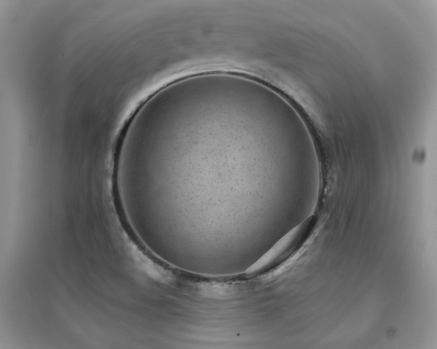 X0000094971508200711291451