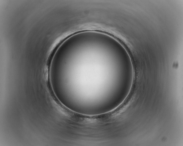 X0000094971509200711291451