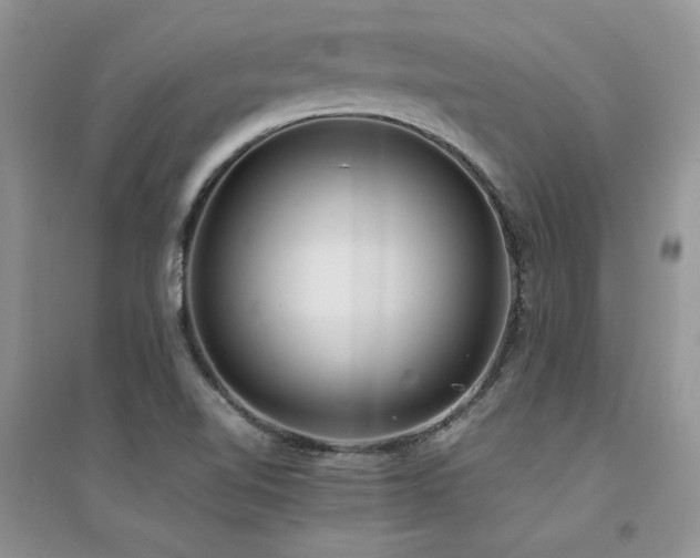 X0000094971510200711291451