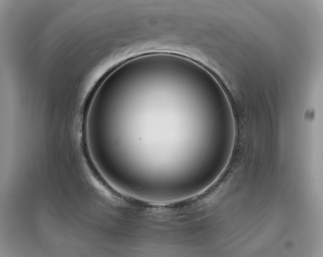 X0000094971511200711291451