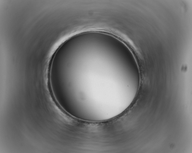 X0000094971512200711291451