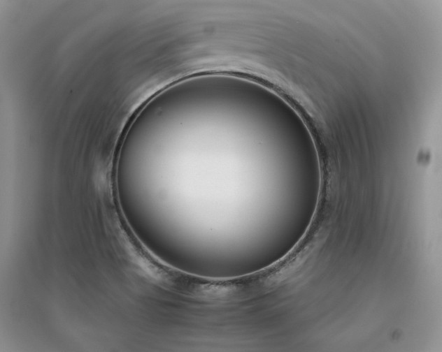 X0000094971513200711291451