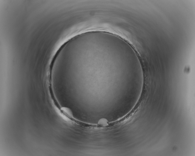 X0000094971519200711291452