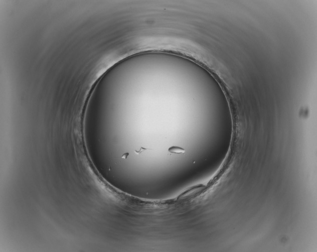 X0000094971521200711291452
