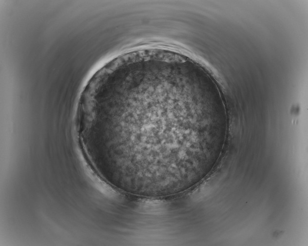X0000094971522200711291452