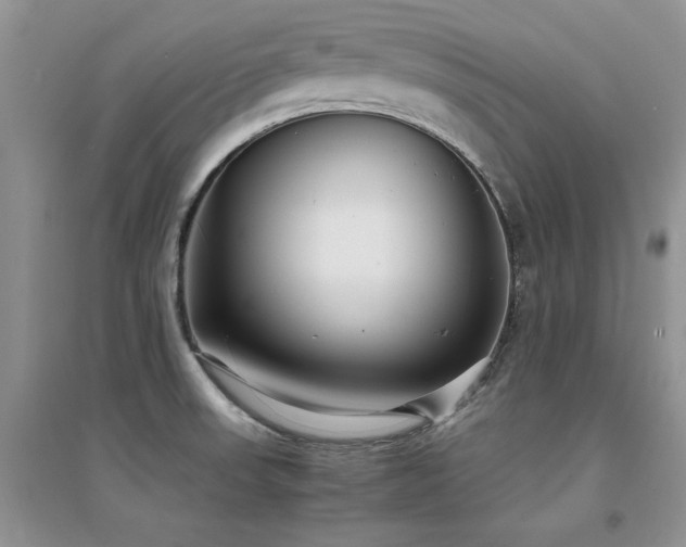 X0000094971523200711291452