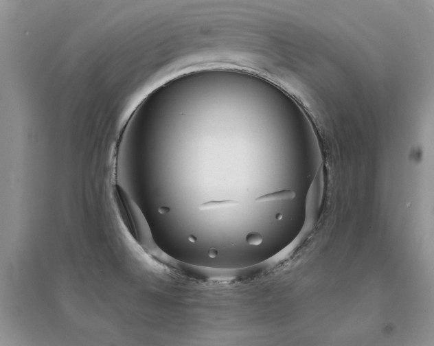 X0000094971524200711291452